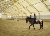 Horse riding arenas