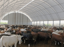 Cowsheds
